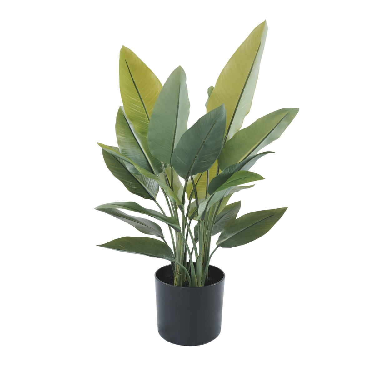 Artificial Premium Small Potted Strelitzia / Bird of Paradise 70cm