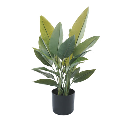 Artificial Premium Small Potted Strelitzia / Bird of Paradise 70cm