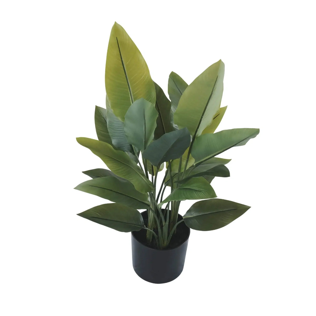 Artificial Premium Small Potted Strelitzia / Bird of Paradise 70cm