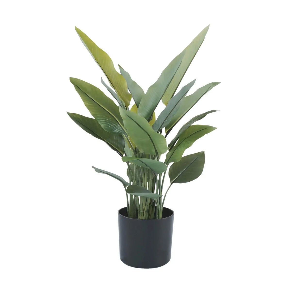 Artificial Premium Small Potted Strelitzia / Bird of Paradise 70cm