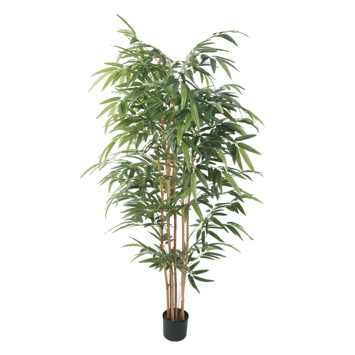 Premium Artificial Bamboo Plant With Natural Canes 180cm