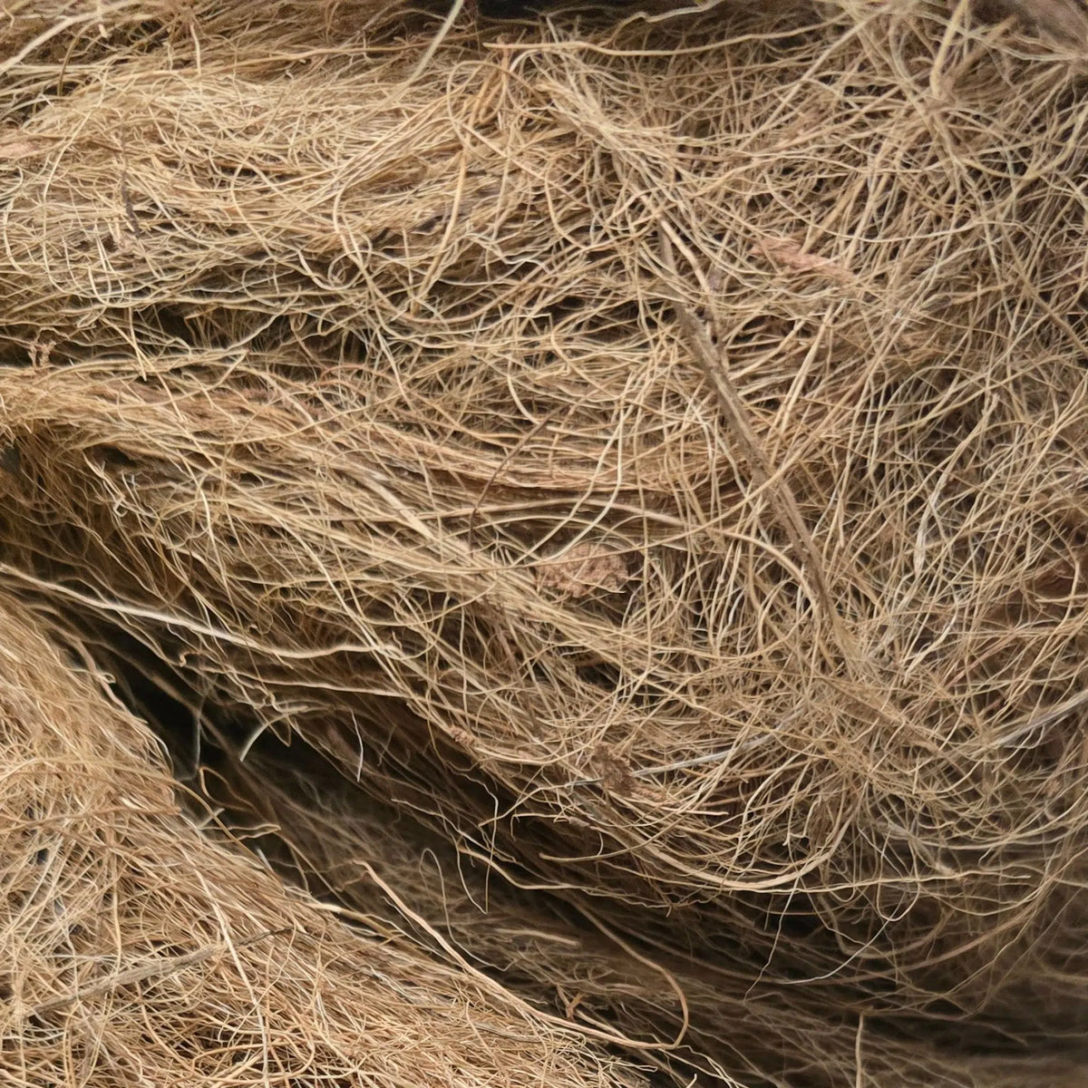 Coconut Fibre / Coir Fiber Mulch Extra Large Bulk Pack 500grams (12.5 litres)
