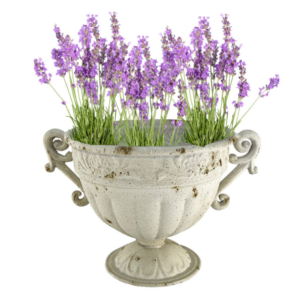 Martinique Aged Fluted Urn 25x18cm - Image 2