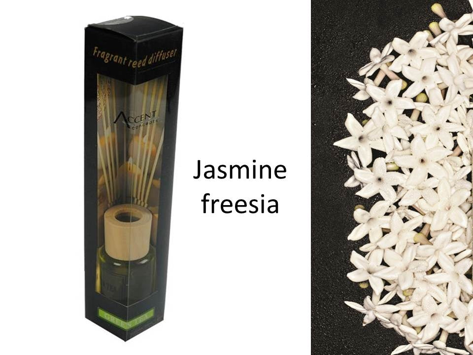 bulk 24 Scented Oil Diffuser Jasmine Freesia 50ml 8 Rattan Sticks
