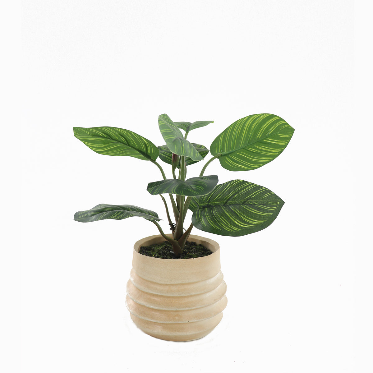 Muse Artifical Arrowroot in Ceramic Pot 34cm - Image 3
