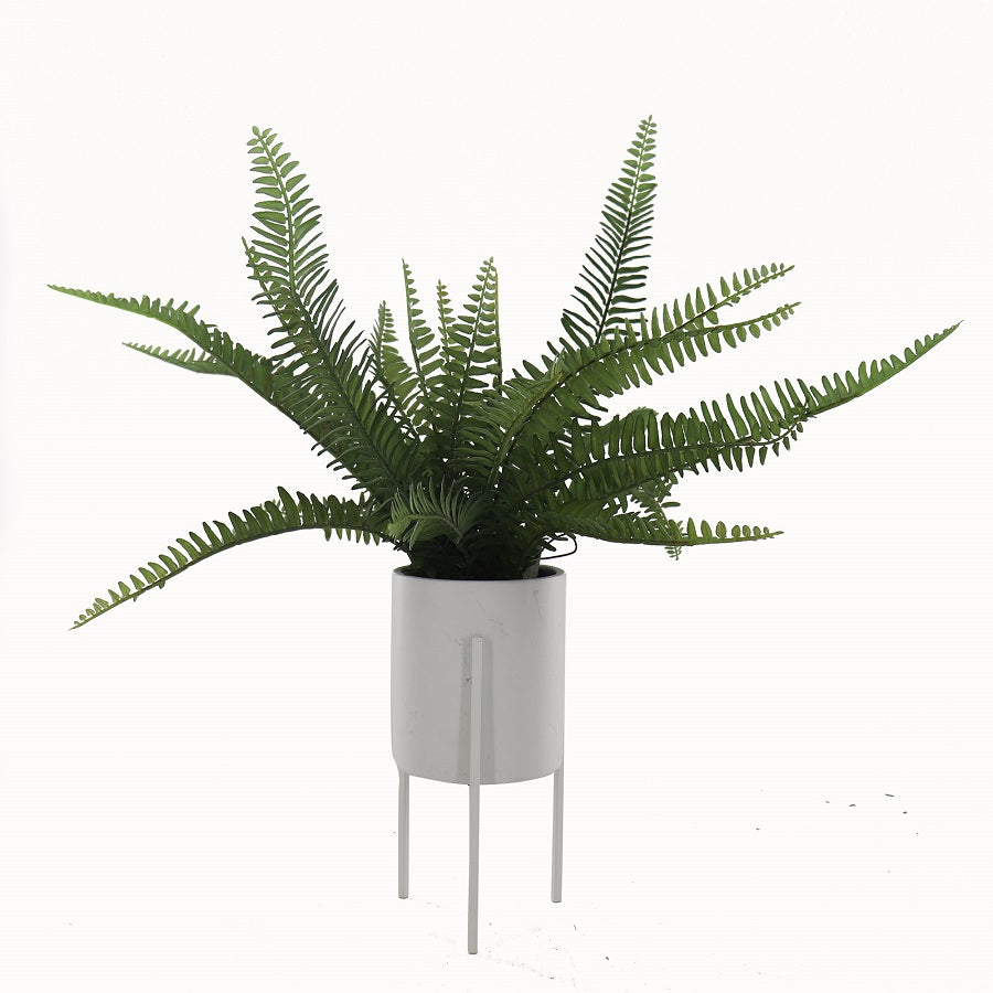 Wyatt Artificial Boston Fern in Ceramic Pot w Stand 56cm