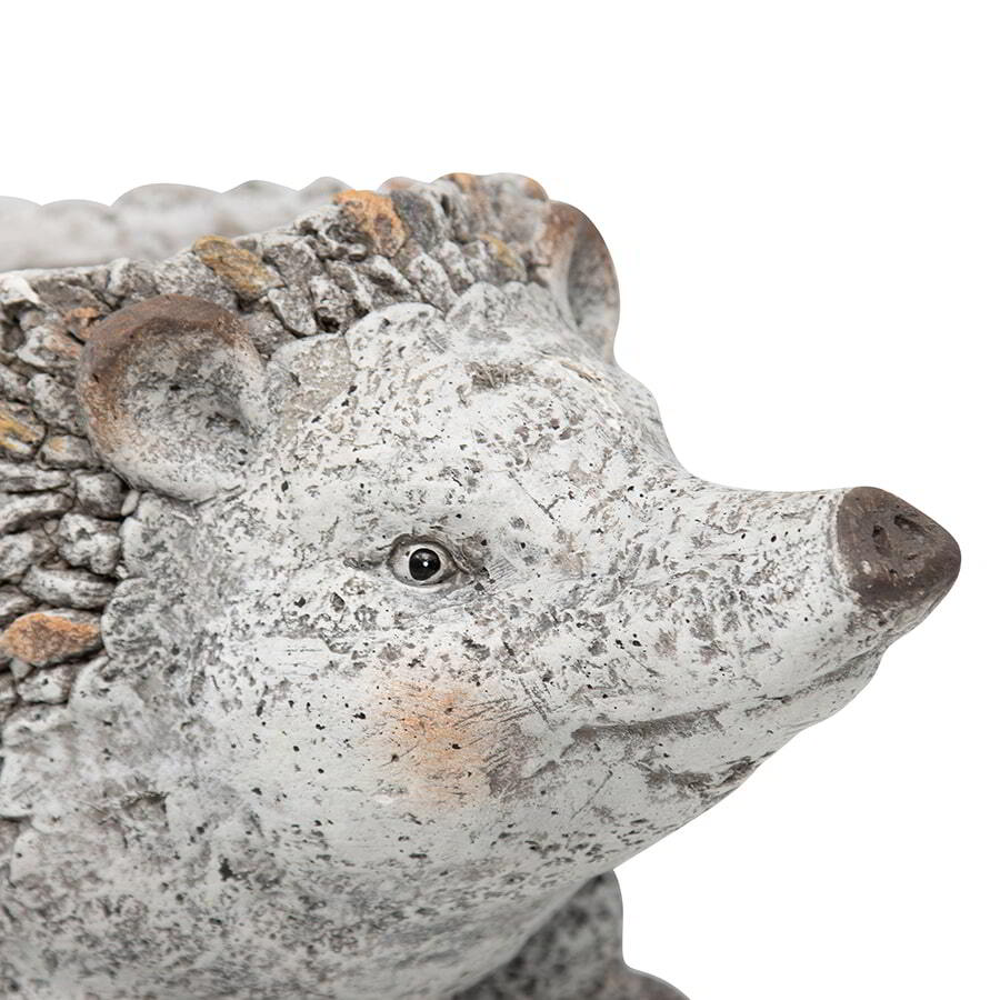 Stony Echidna Planter W Hole & Plug 40x23cm - Image 3