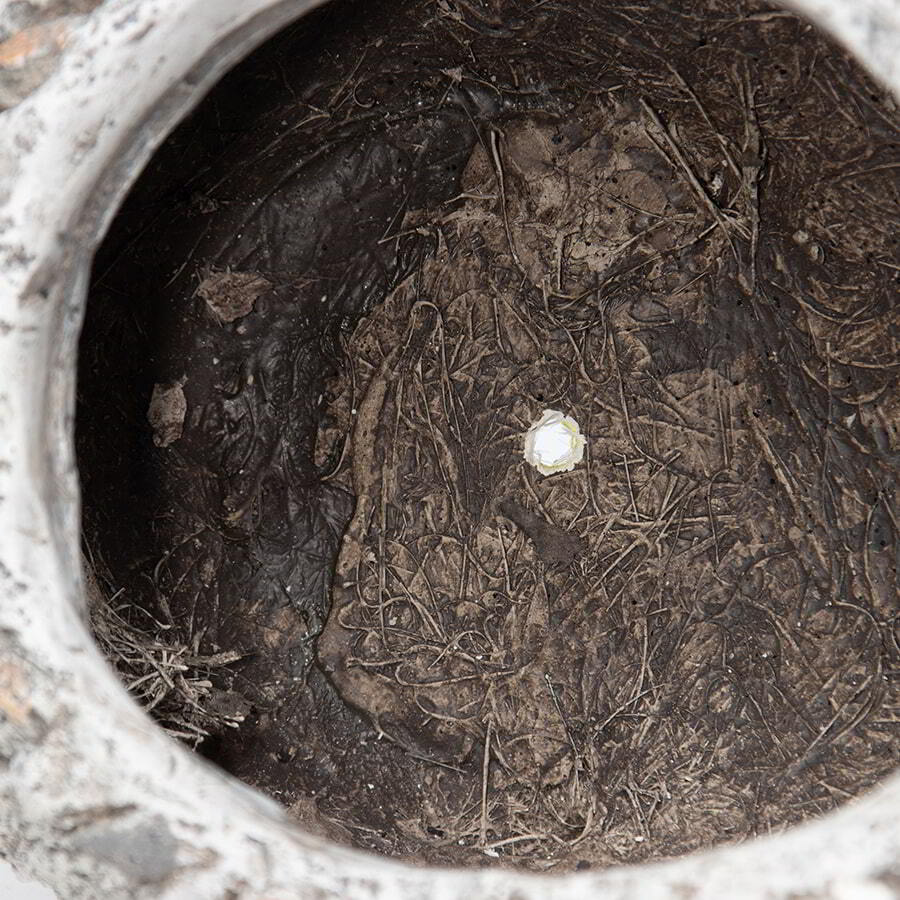 Stony Echidna Planter W Hole & Plug 40x23cm - Image 4