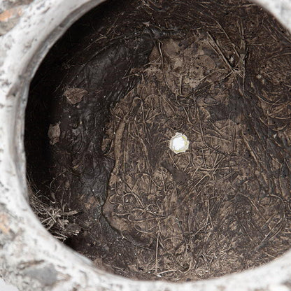 Stony Echidna Planter W Hole & Plug 40x23cm - Image 4
