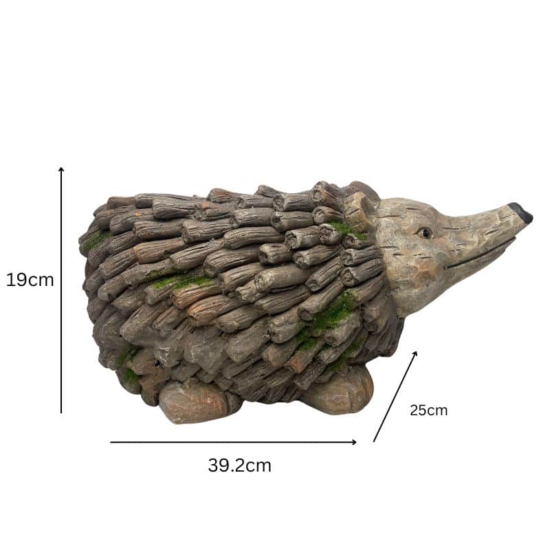 Forest Echidna Planter W  Hole & Plug 39x19cm - Image 5
