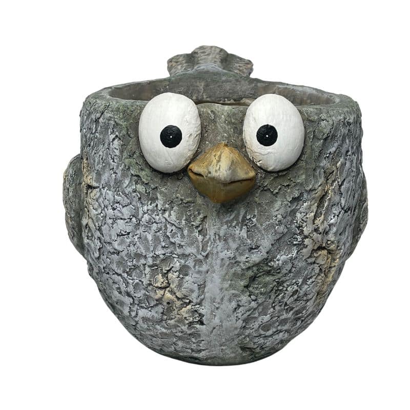 Curious Bird Planter W  Hole & Plug 41x24cm - Image 2