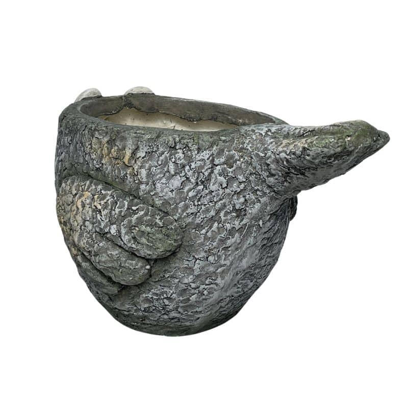 Curious Bird Planter W  Hole & Plug 41x24cm - Image 4