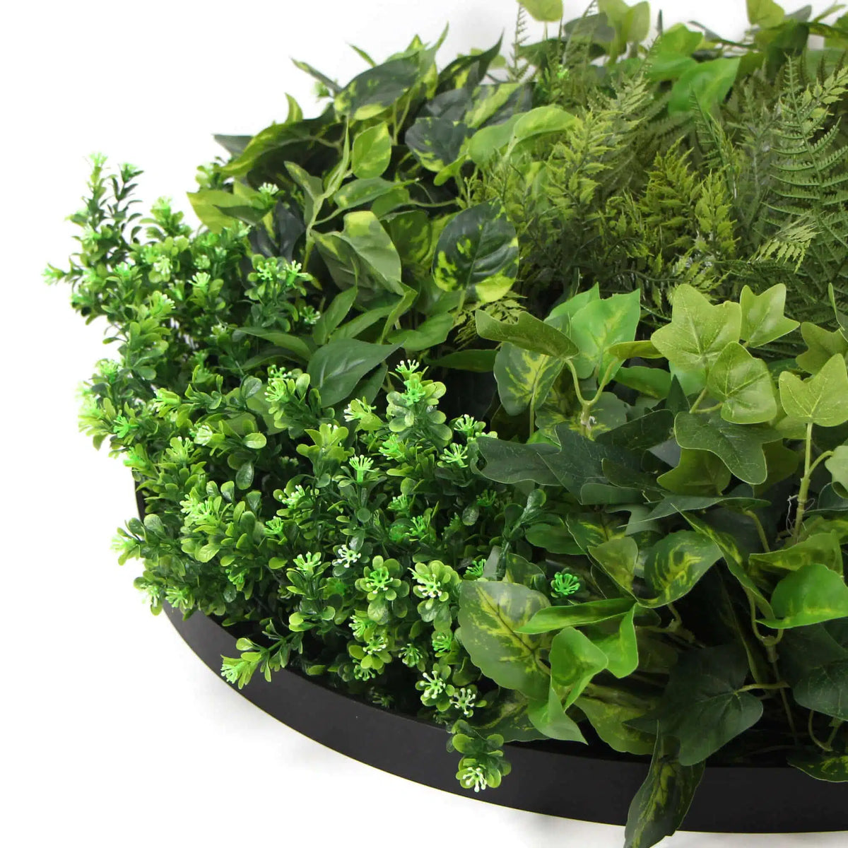 Slimline Artificial Green Wall Disc Art 80cm Mixed Green Fern & Ivy (Modern Black) - Image 3