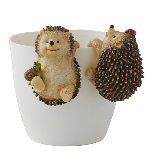 Set/2 Asst Hedgehogs w/ Snail & Ladybug Pot Hangers