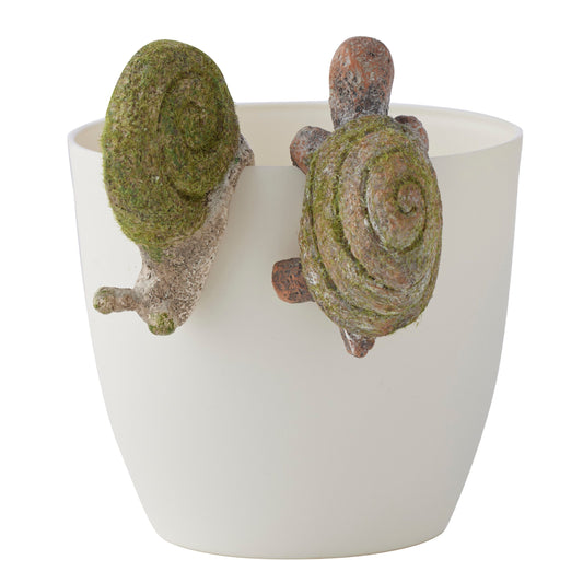 Set/2 Asst Snail & Tortoise w/ Moss Pot Hangers