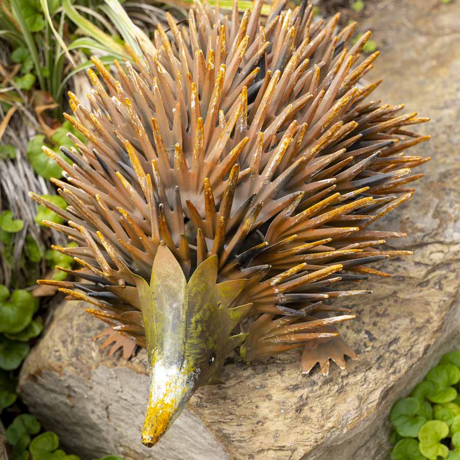 Rust Hedgehog Garden Ornament 36x22cm - Image 3