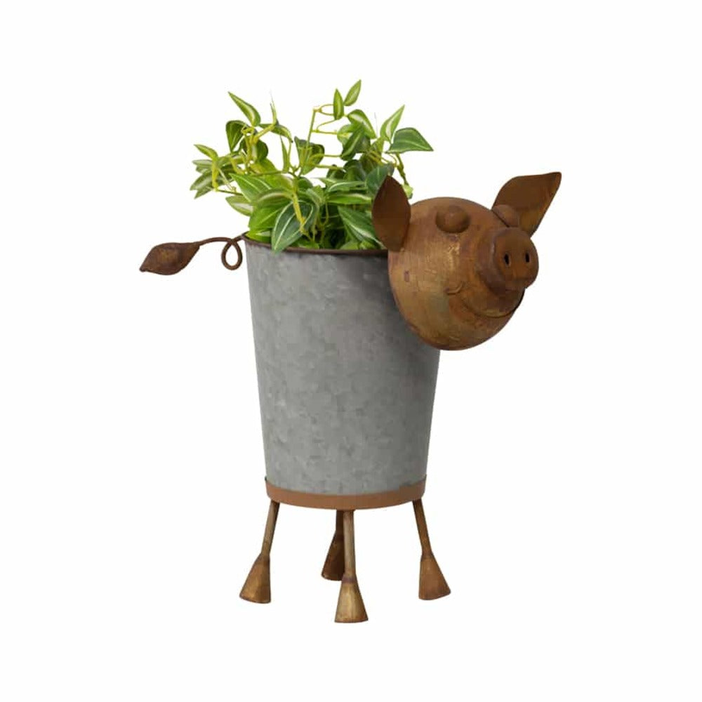 Rusty Pig Planter w Galvanise Pot 36cm