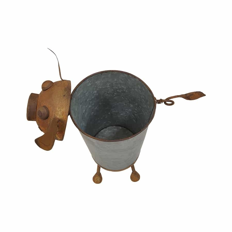 Rusty Pig Planter w Galvanise Pot 36cm - Image 4