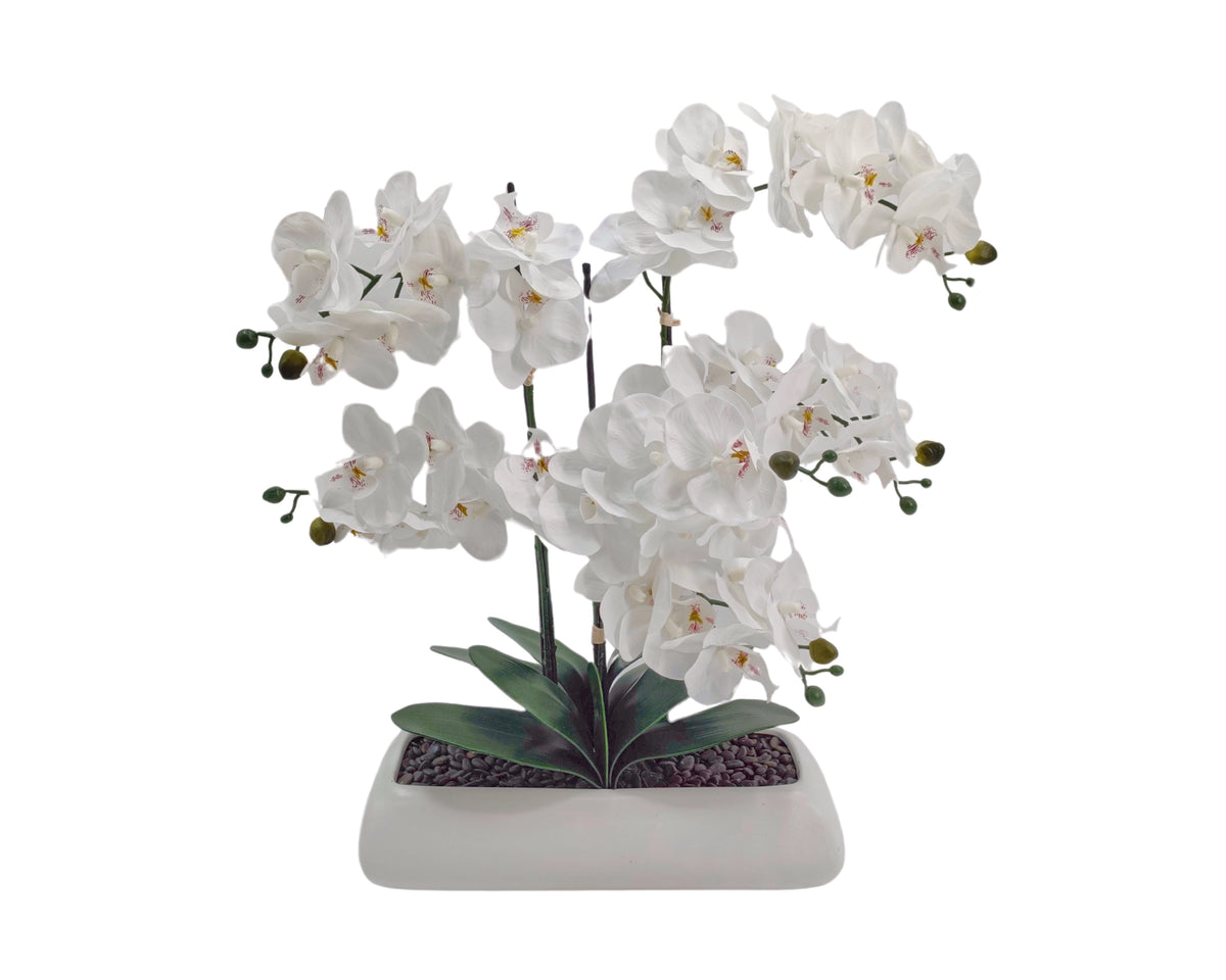 White Orchid In Rectangle Ceramic Pot 61cm
