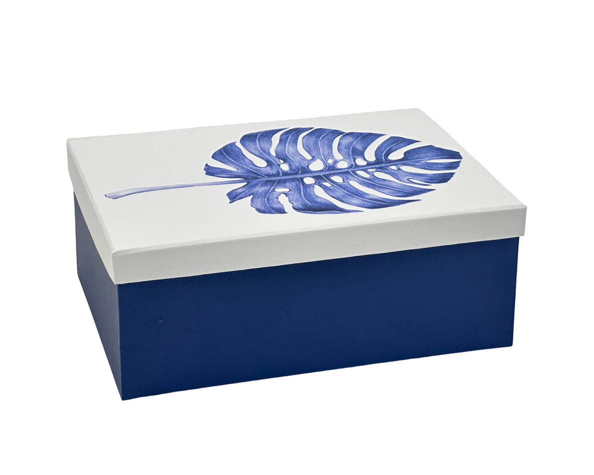 Bulk 2 Monstera Blue Gift Box Set 18 43x34x16cm