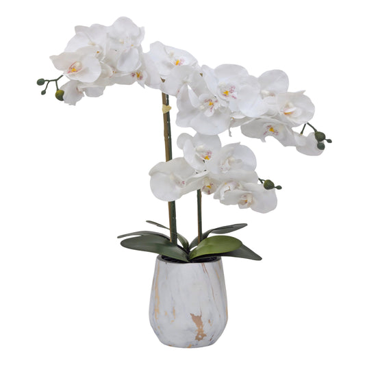 Real Touch Artificial Orchid Pot 55cm