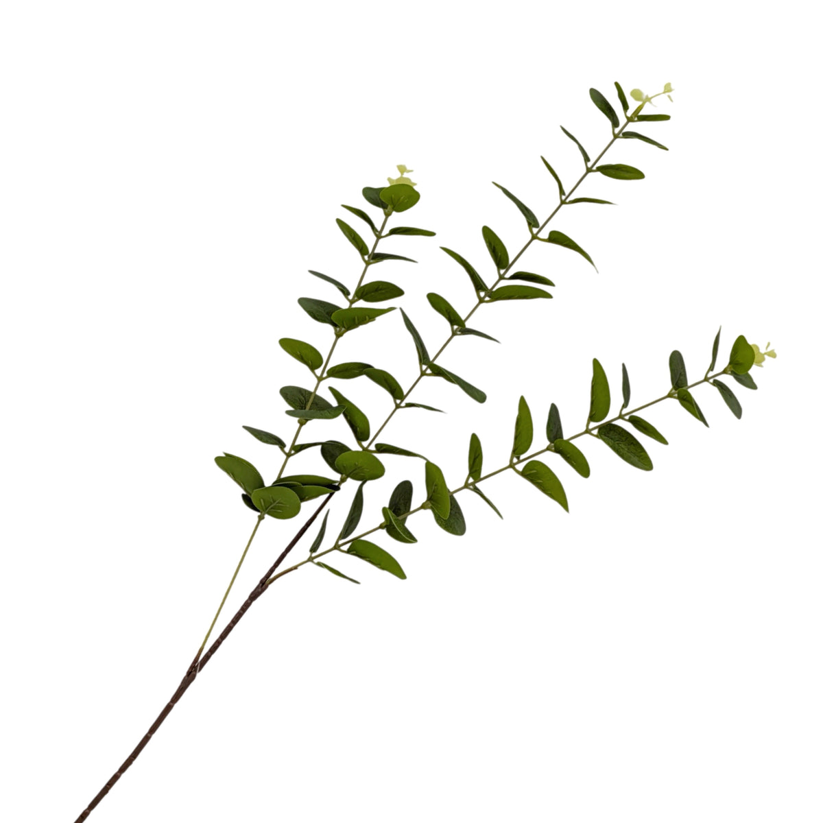 bulk 24 Artificial Eucalyptus Stem 80cm