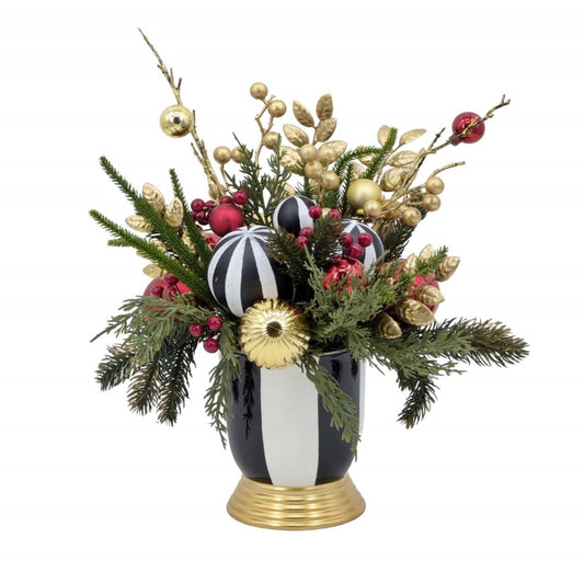 Bulk 2 Xmas Amaryllis Glow Pierrot Floral Pot 40cm