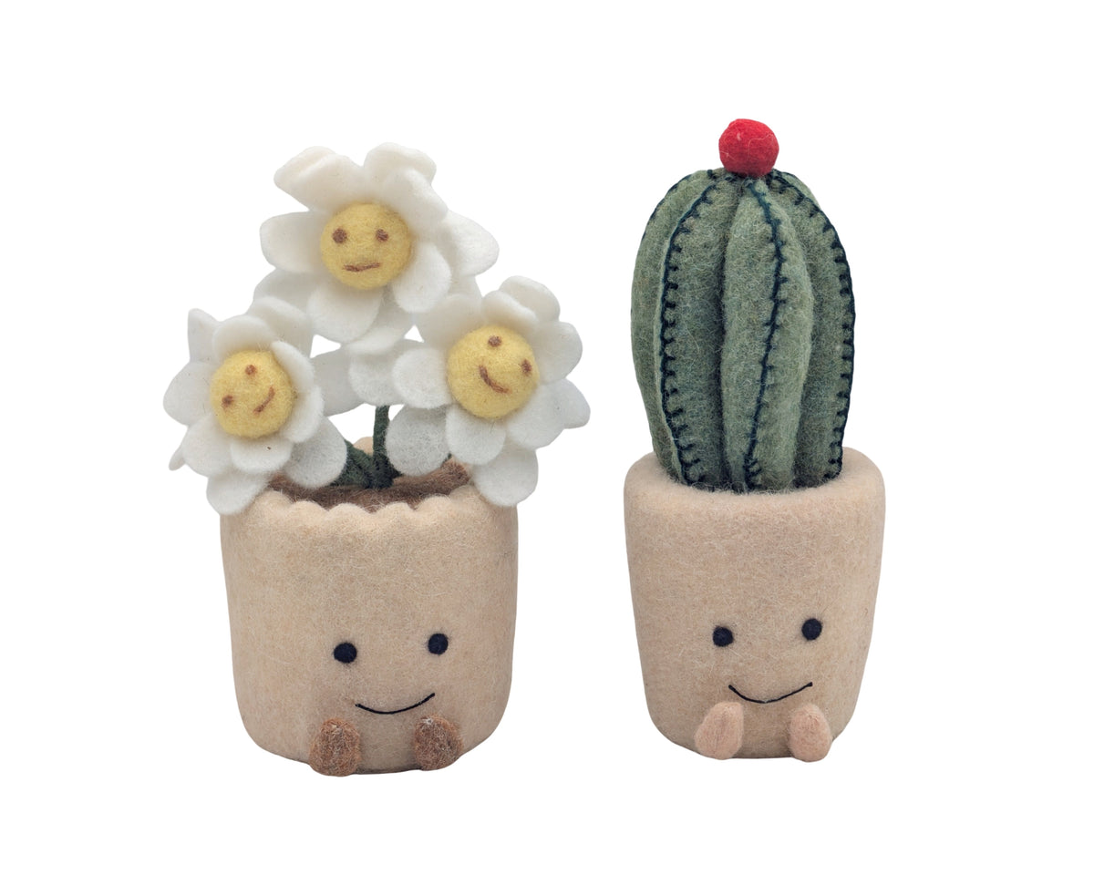 Bulk 6 Handmade Daisy & Cactus Pot Lrg 25cm 2 Asst