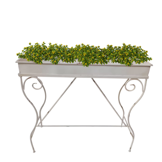 Martinique Plant Stand on Classic Style Legs 92x85cm - Image 2