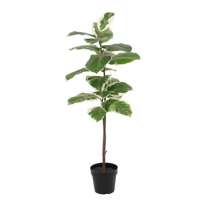 Potted Artificial Variegated Rubber Leaf Tree 118cm - Image 3