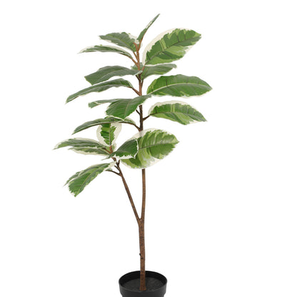 Potted Artificial Variegated Rubber Leaf Tree 118cm - Image 4