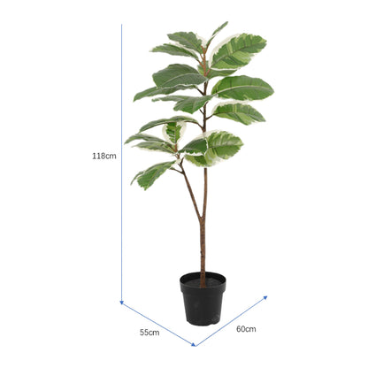 Potted Artificial Variegated Rubber Leaf Tree 118cm - Image 5