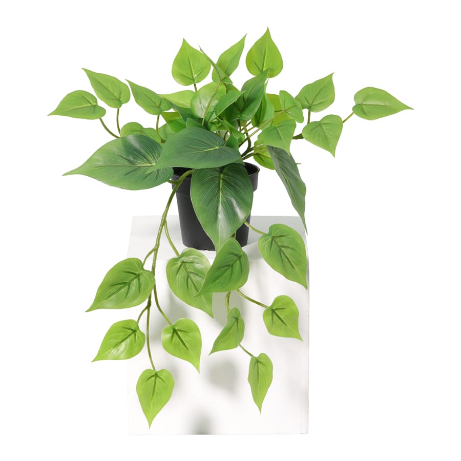 Potted Artificial Hanging Pothos 38cm - Image 3