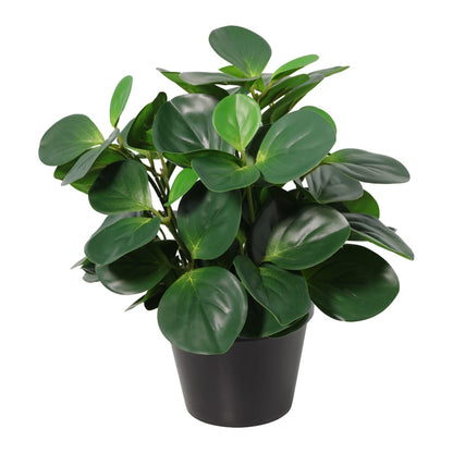 Potted Artificial Peperomia 34cm - Image 3