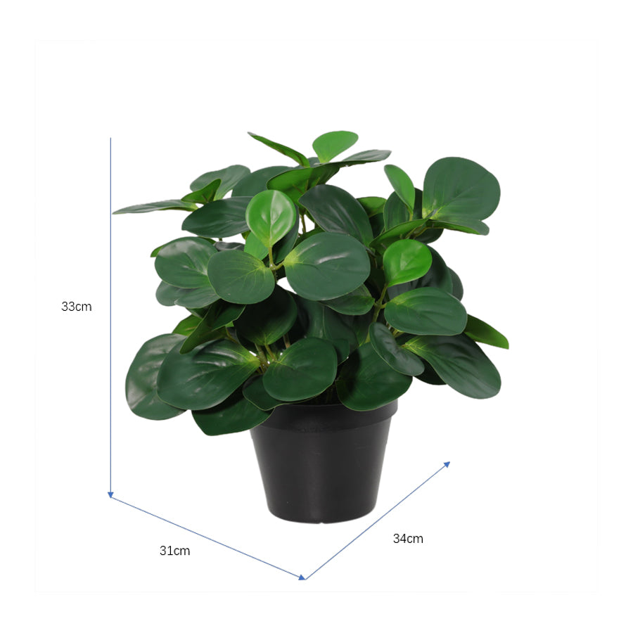Potted Artificial Peperomia 34cm - Image 5