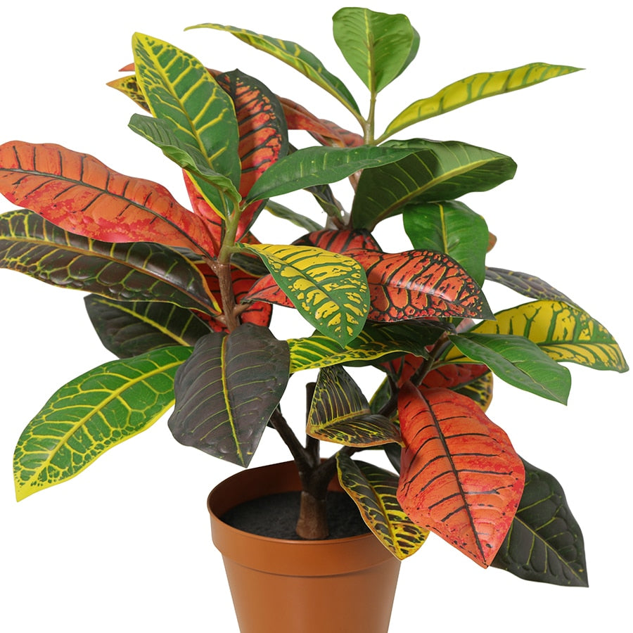 Potted Artificial Calathea 38cm - Image 4