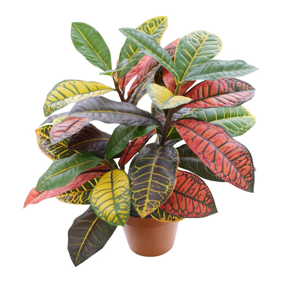 Potted Artificial Calathea 38cm - Image 3