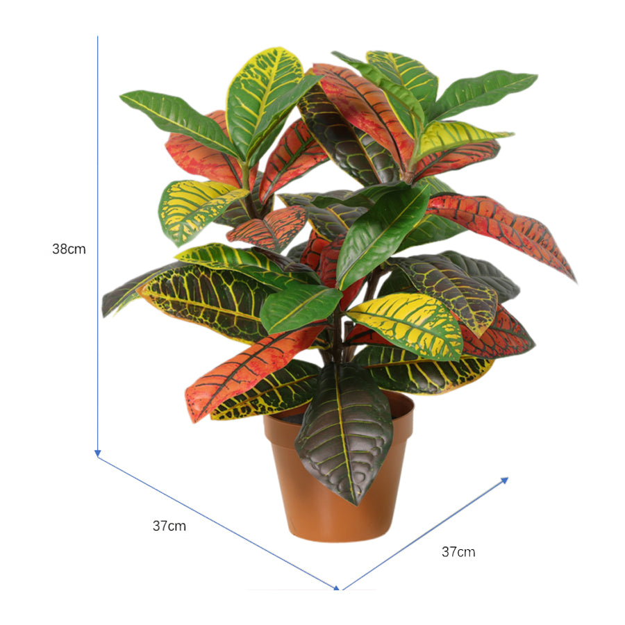 Potted Artificial Calathea 38cm - Image 5
