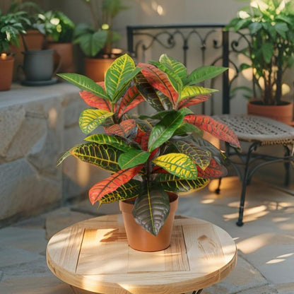 Potted Artificial Calathea 38cm - Image 2