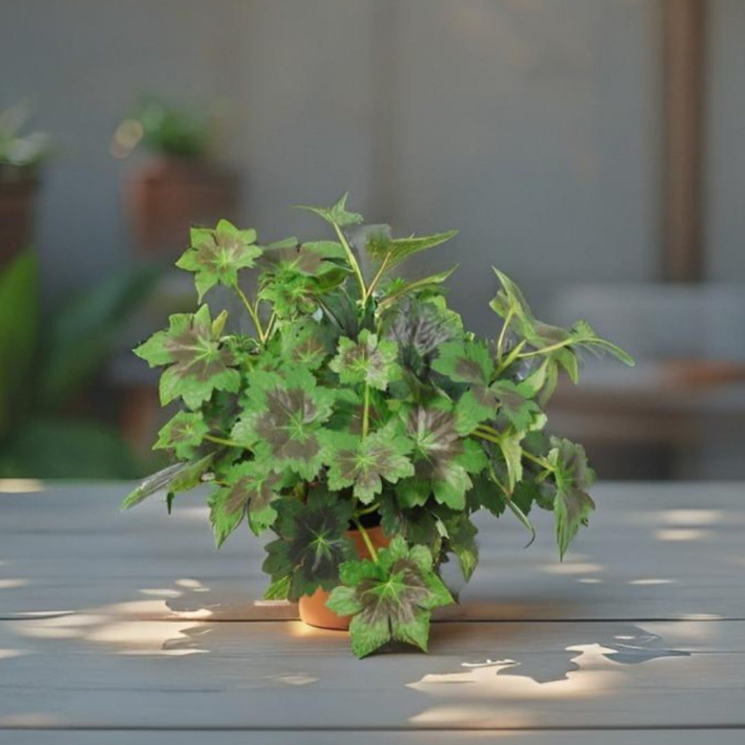 Potted Artificial Grape Leaf Plant 33cm - Image 2