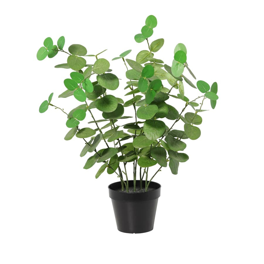 Potted Artificial Eucalyptus 48cm - Image 3