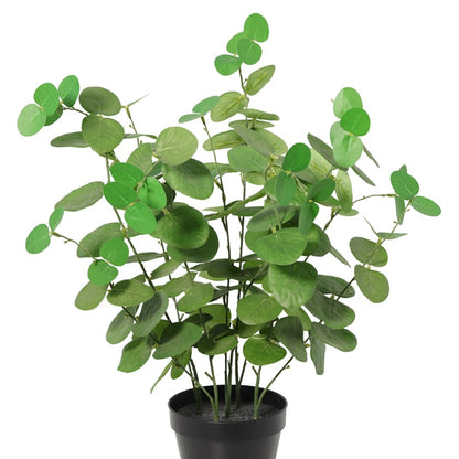 Potted Artificial Eucalyptus 48cm - Image 4