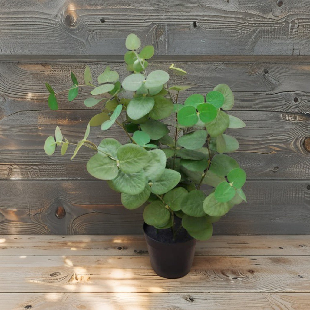 Potted Artificial Eucalyptus 48cm - Image 2