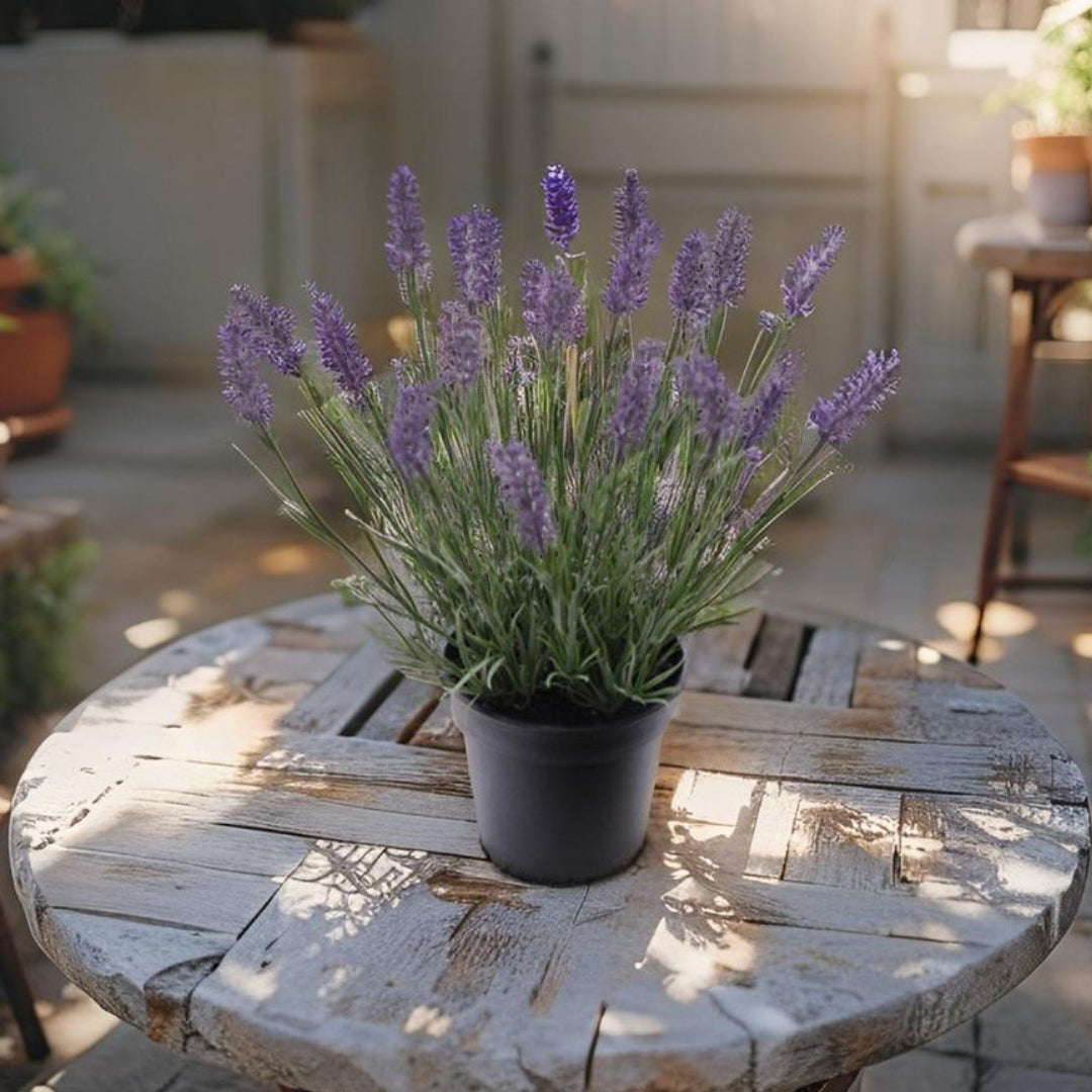 Potted Artificial Lavender Plant 40cm - Image 2