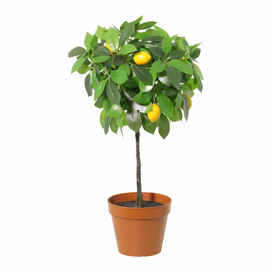 Potted Artificial Lemon Tree 43cm - Image 3