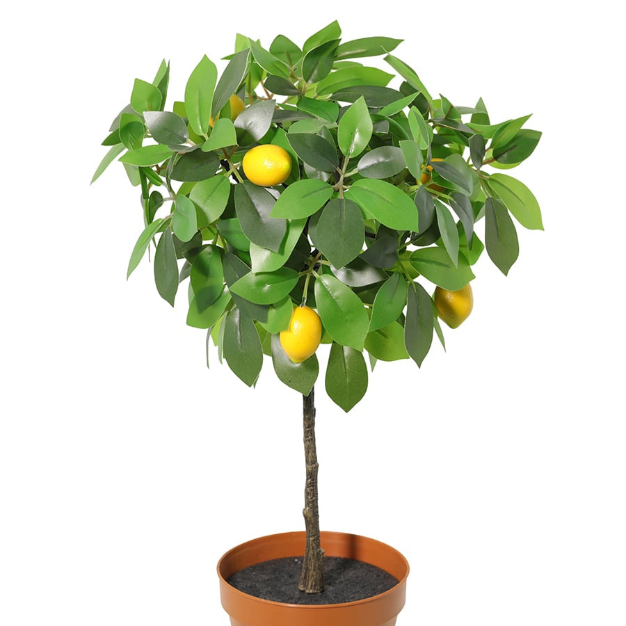 Potted Artificial Lemon Tree 43cm - Image 4