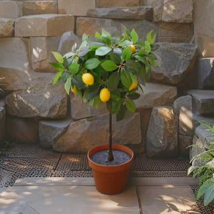 Potted Artificial Lemon Tree 43cm - Image 2
