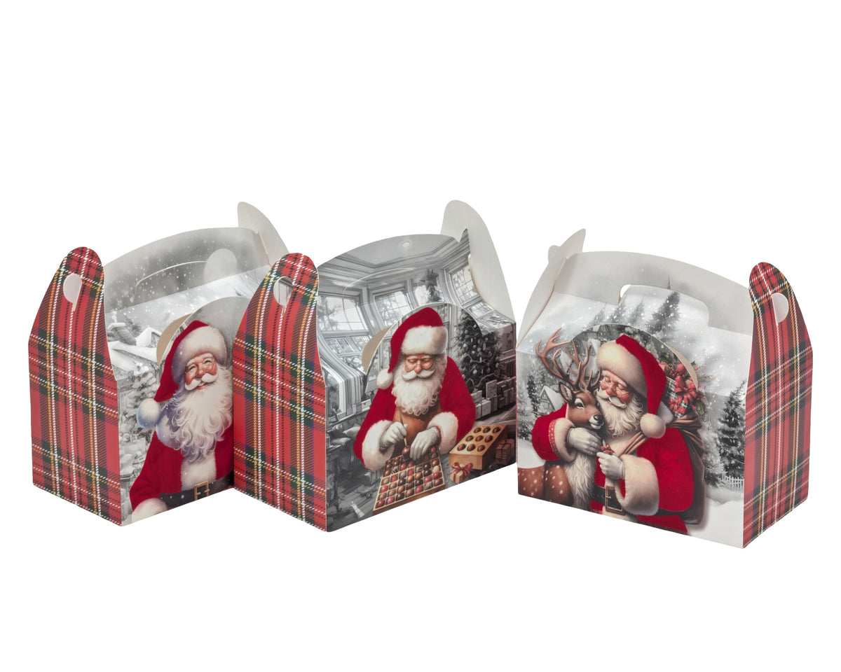 Bulk 36 Xmas Treat Box 20.5x12.5x11.5cm 3 Asst