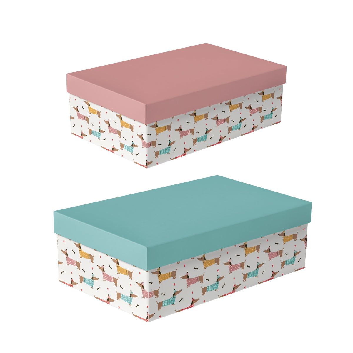 Bulk 2 Playful Dachshund Gift Box Set 18 43x34x16cm 2 Asst