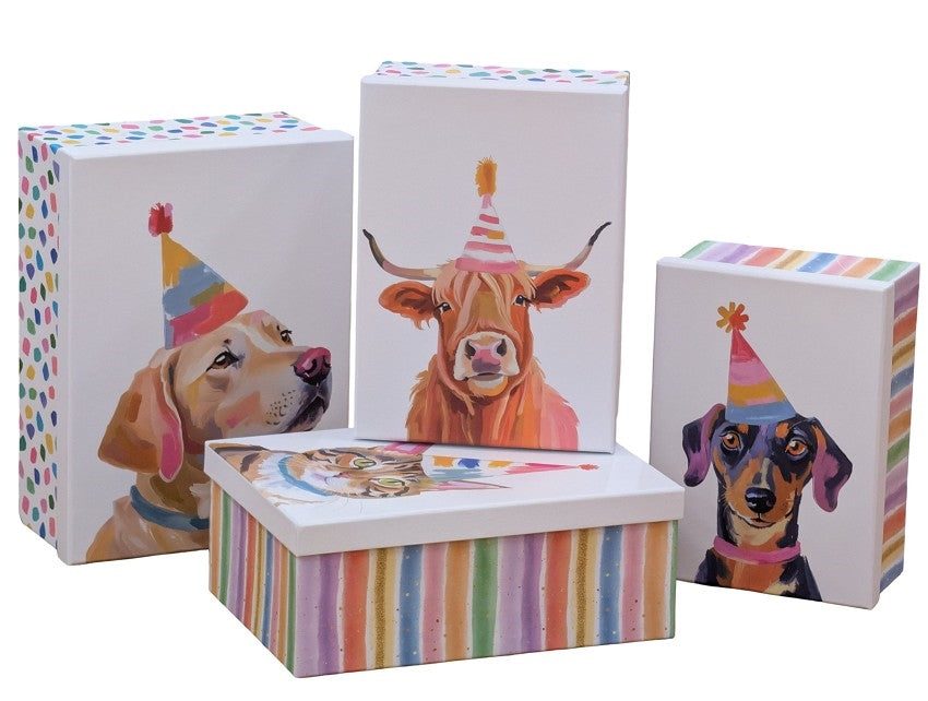 Bulk 2 Party Animal Gift Box Set 18 43x34x16cm 4 Asst